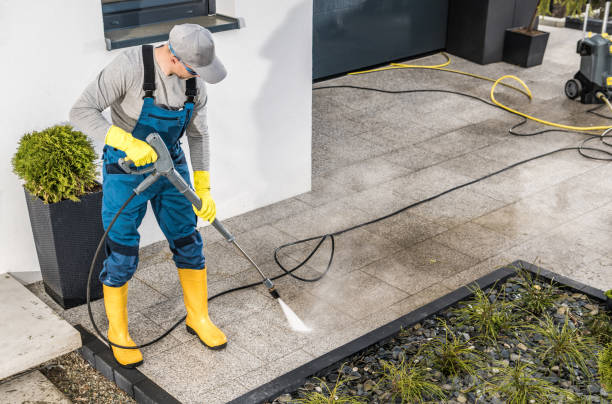 Best Exterior Home Cleaning  in Lindenhurst, IL